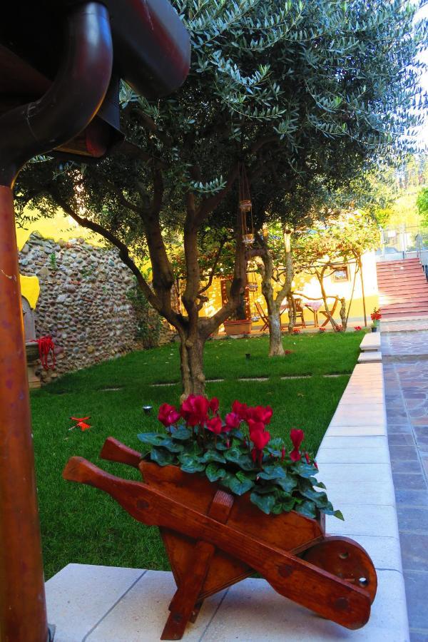 Bed and Breakfast Came Alzano Lombardo Экстерьер фото